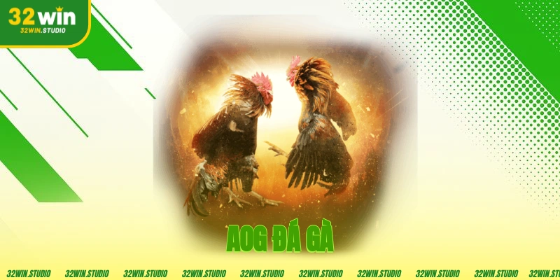 AOG Đá Gà
