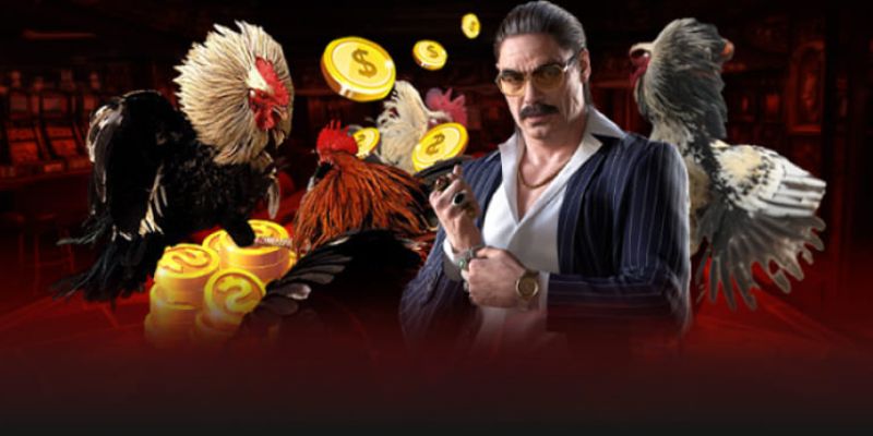 Ưu đãi siêu hấp dẫn